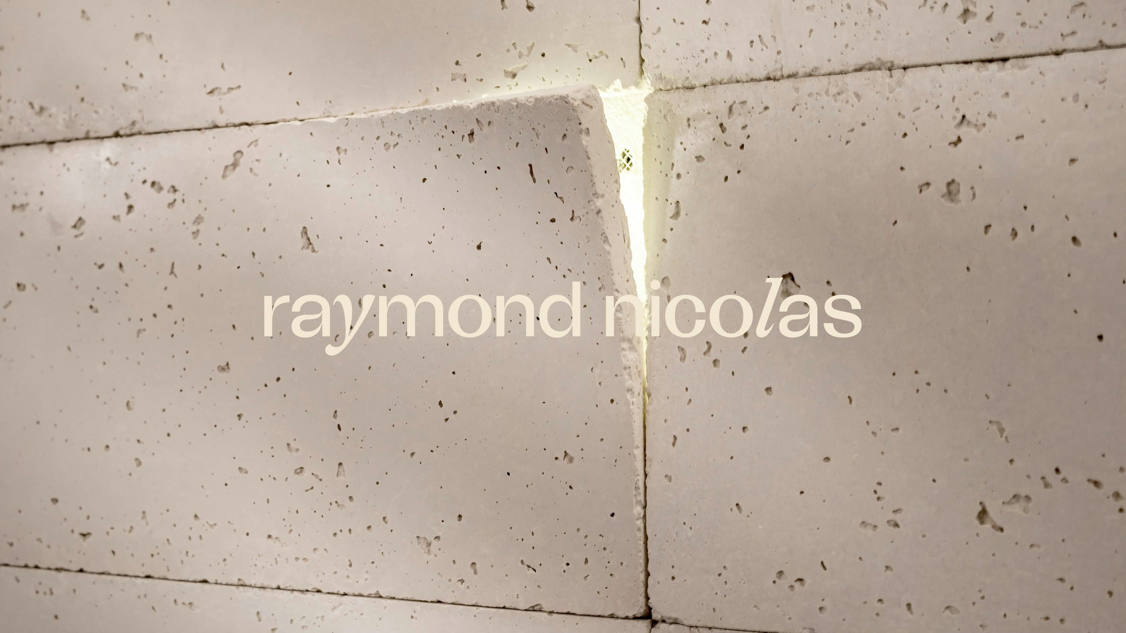 Raymond Nicolas design and development on Shopify by View Source